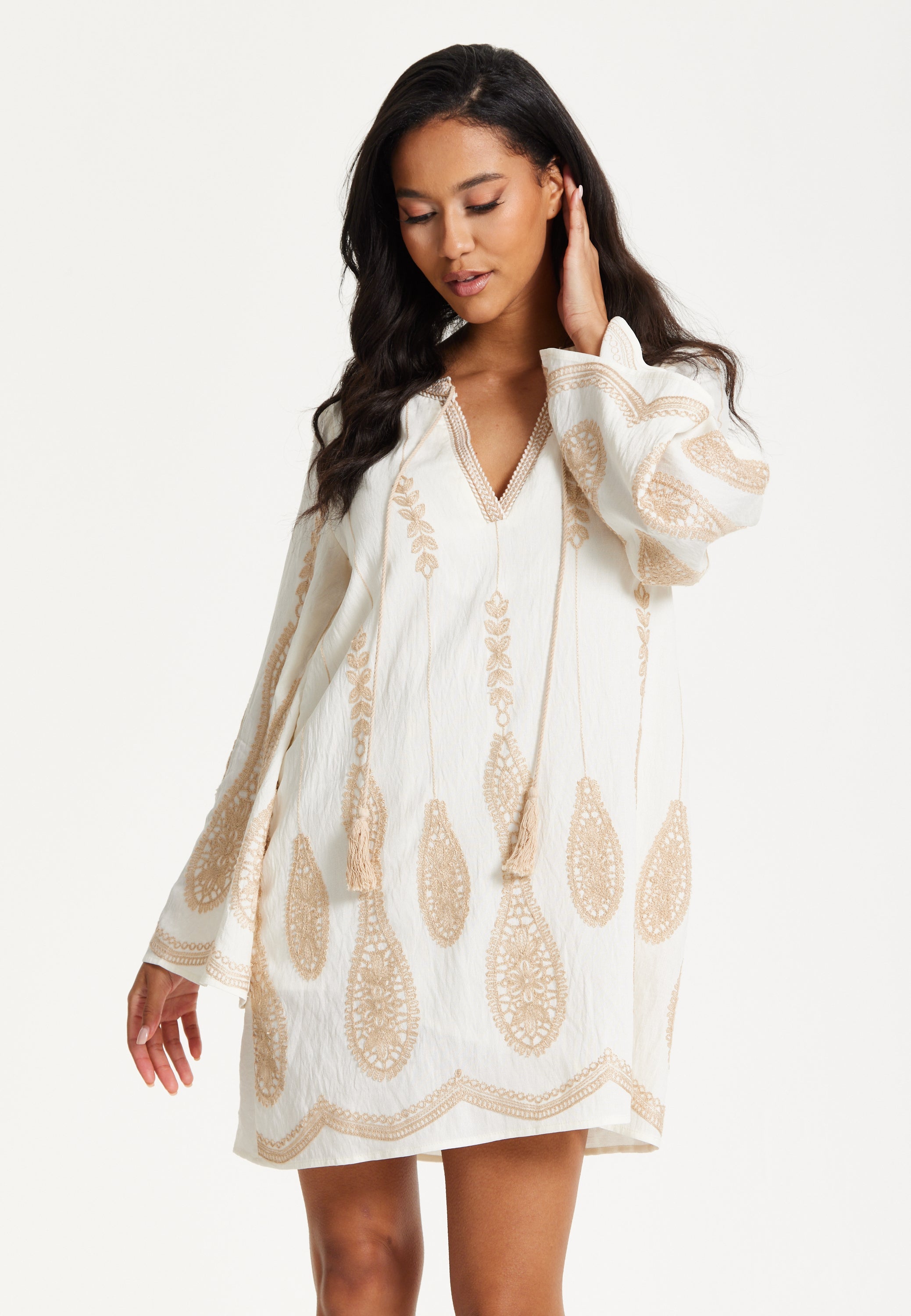 Ivory Embroidered Long Sleeve Dress