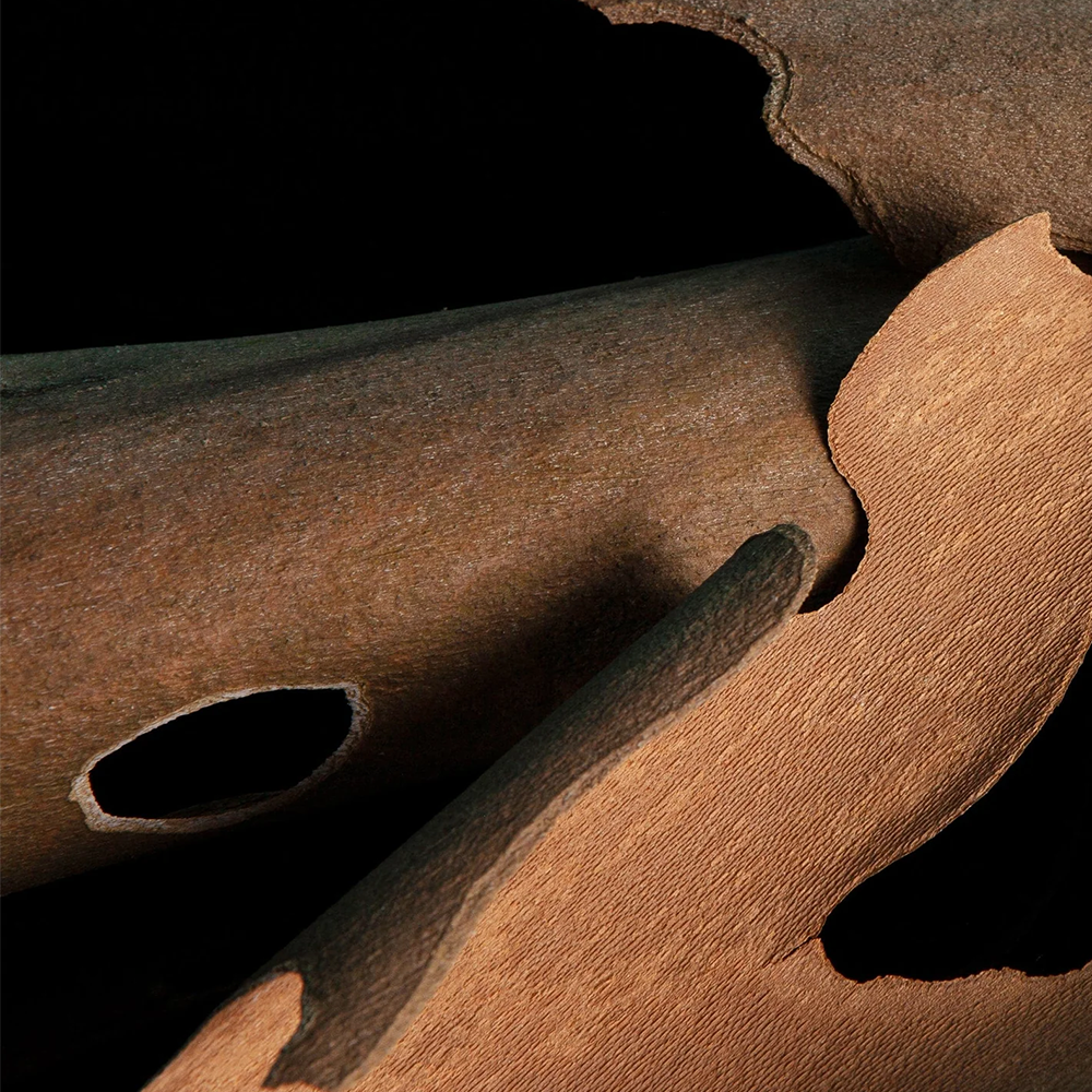 An alluring composition of woods, amber, and musks, it is mysterious and sinfully addictive.