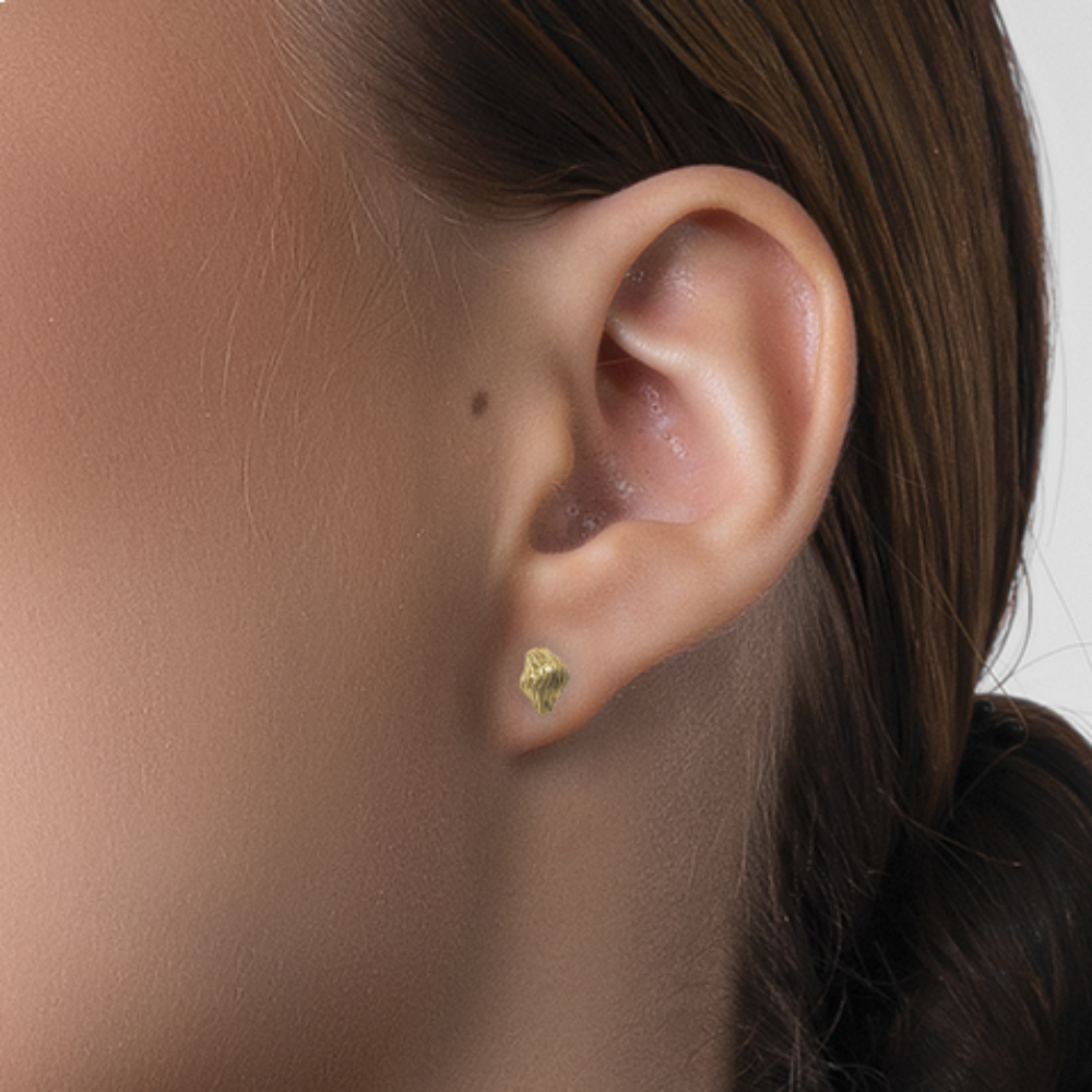 Upgrade your style with Burl Studs—perfect to shop and accessorize any outfit. Shop Now!