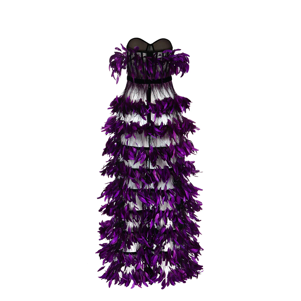 A corseted dress in black tulle and ruffled coq plumes.