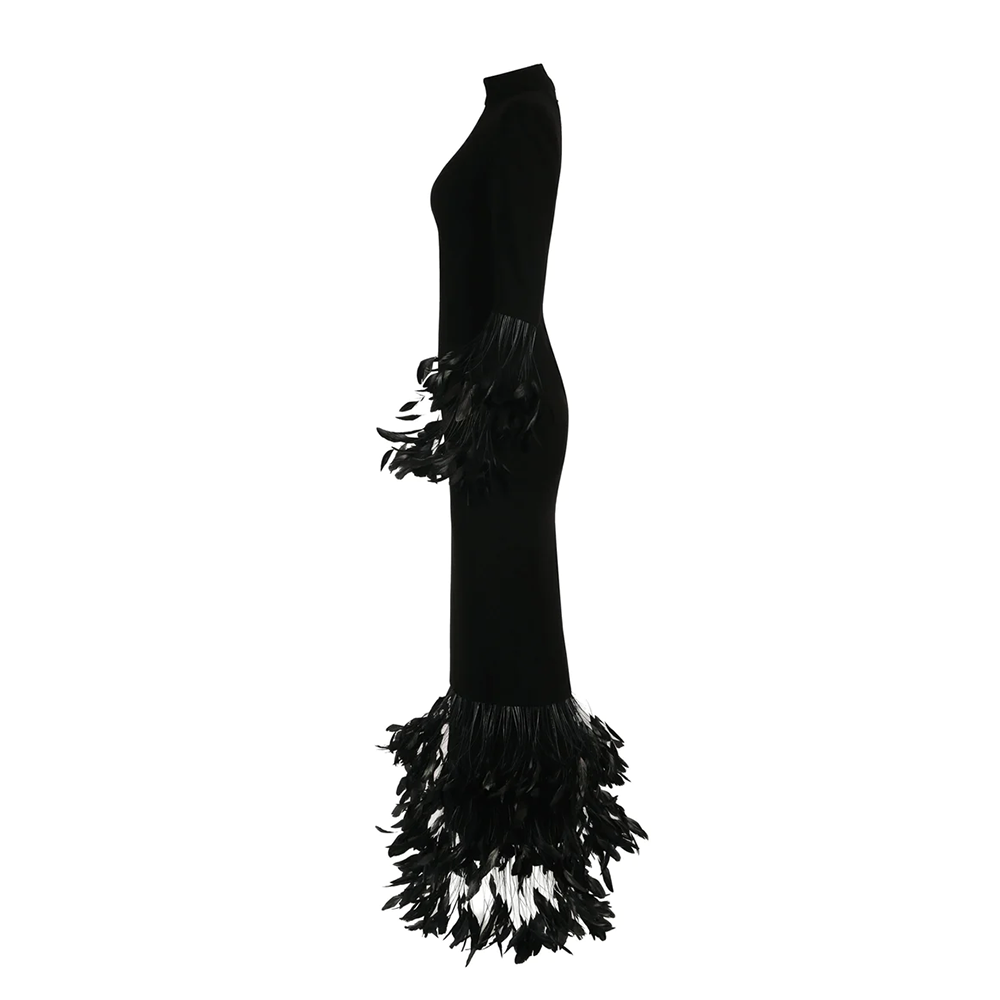 A high-necked dress in black silk crepe and ruffled coq plumes.