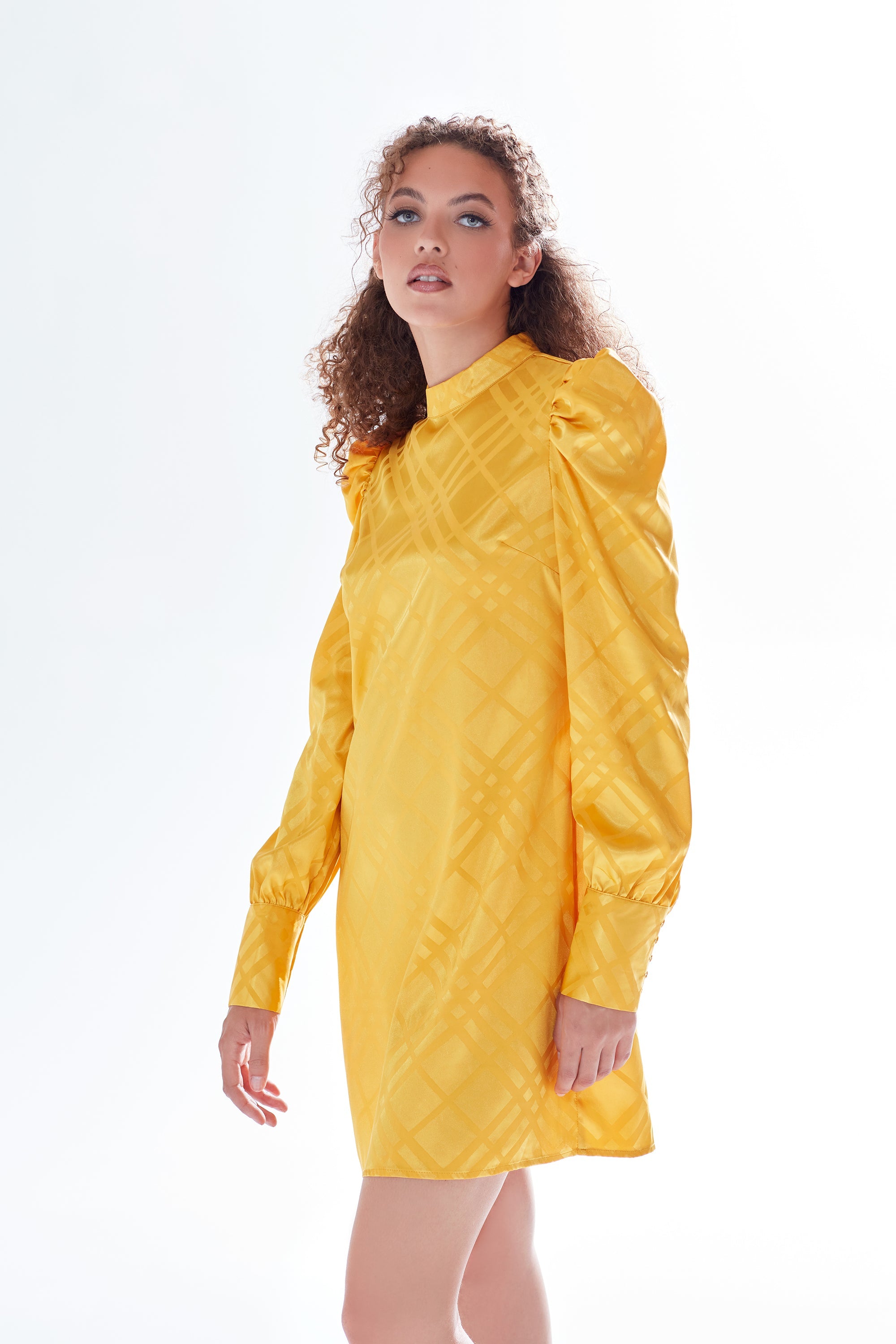 Women's Mini Dress in Mustard with High Neck, Puff Sleeves & Chic Check Design - Liquorish