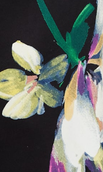 Women’s Mini Dress in Black with Long Balloon Sleeves and Floral Print Elegance by Liquorish