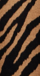 Women's Longline Zebra Print Coat in Brown & Black with Tie Waist and Side Pockets - Liquorish