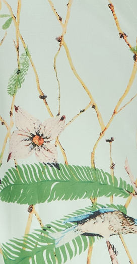 Women's Maxi Dress with Cami Style, V Neckline, Tie Waist, and Bird Print in Mint Green - Liquorish