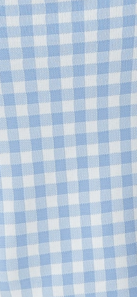 Women’s Midi Dress in Blue and White Check with Sleeveless Design and Fitted Style