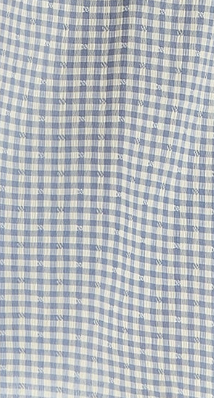 Women's Midi Dress with Frill Sleeves in Blue and Cream Gingham - Cut Out Back and Tie Detail by Liquorish