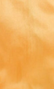 Women’s Satin Wrap Top in Orange - Crop length, collar, full length sleeves, regular fit, available in sizes 8-12.