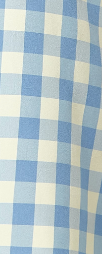 Women's Mini Dress, Blue Gingham Puff Sleeve, Button-Up Front, Oversized Fit, 3/4 Sleeve Length