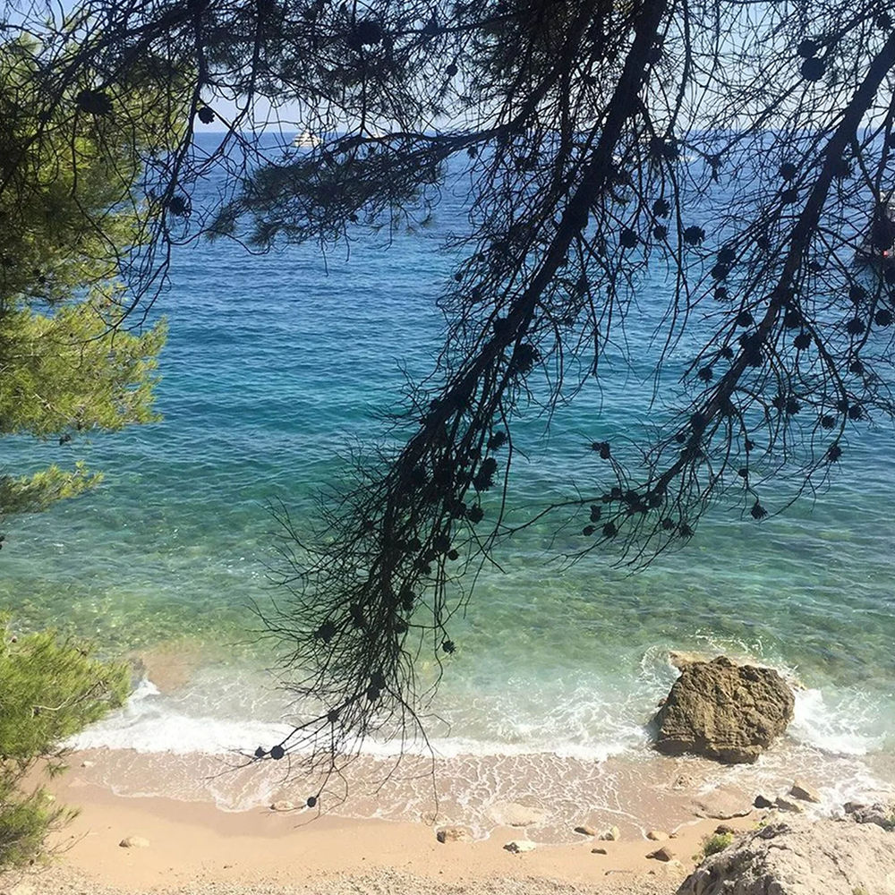 The scent of naked skin under the sun, refreshed by the salty waters, caressed by the balmy air, enriched by orange blossoms