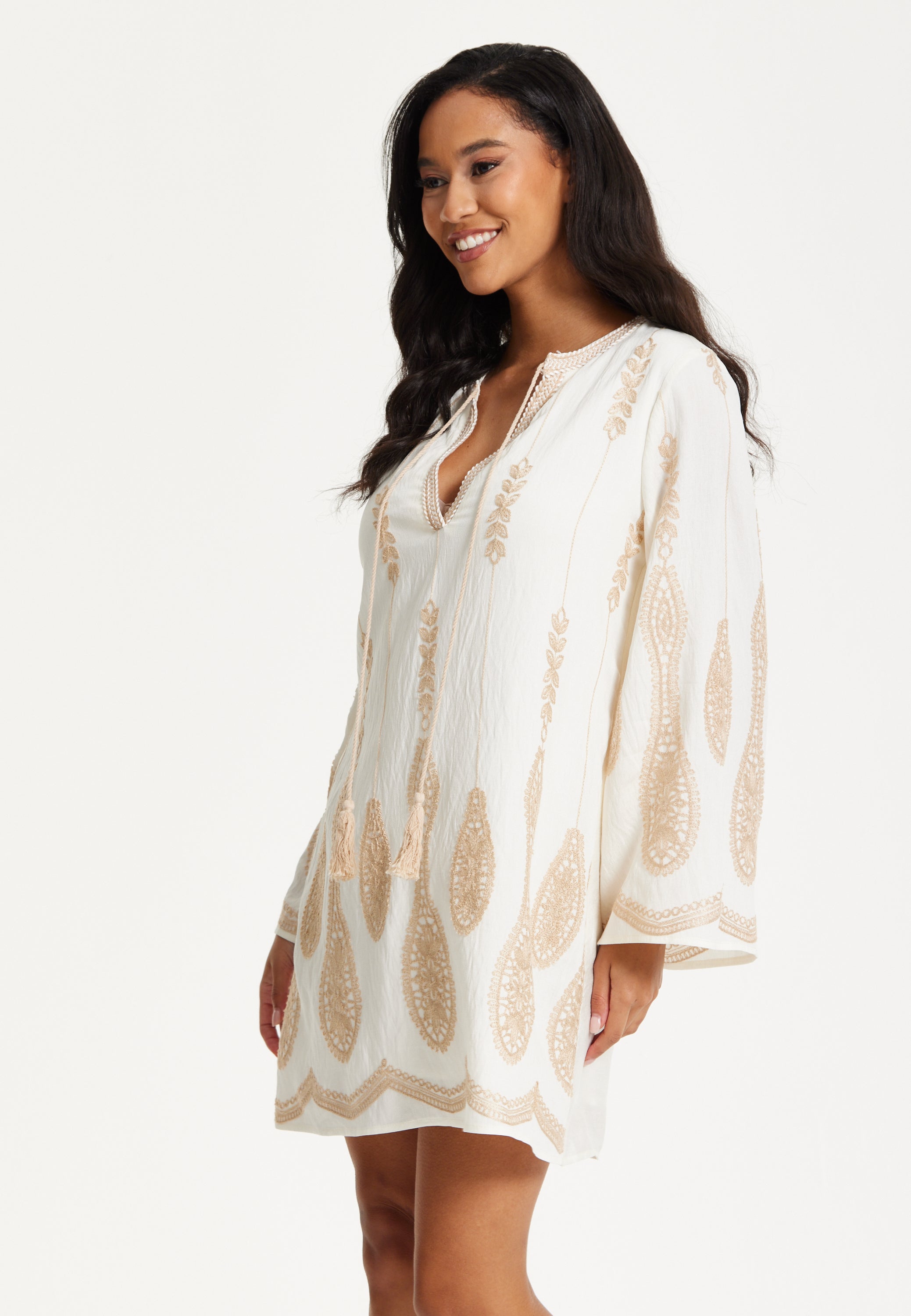 Ivory Embroidered Long Sleeve Dress