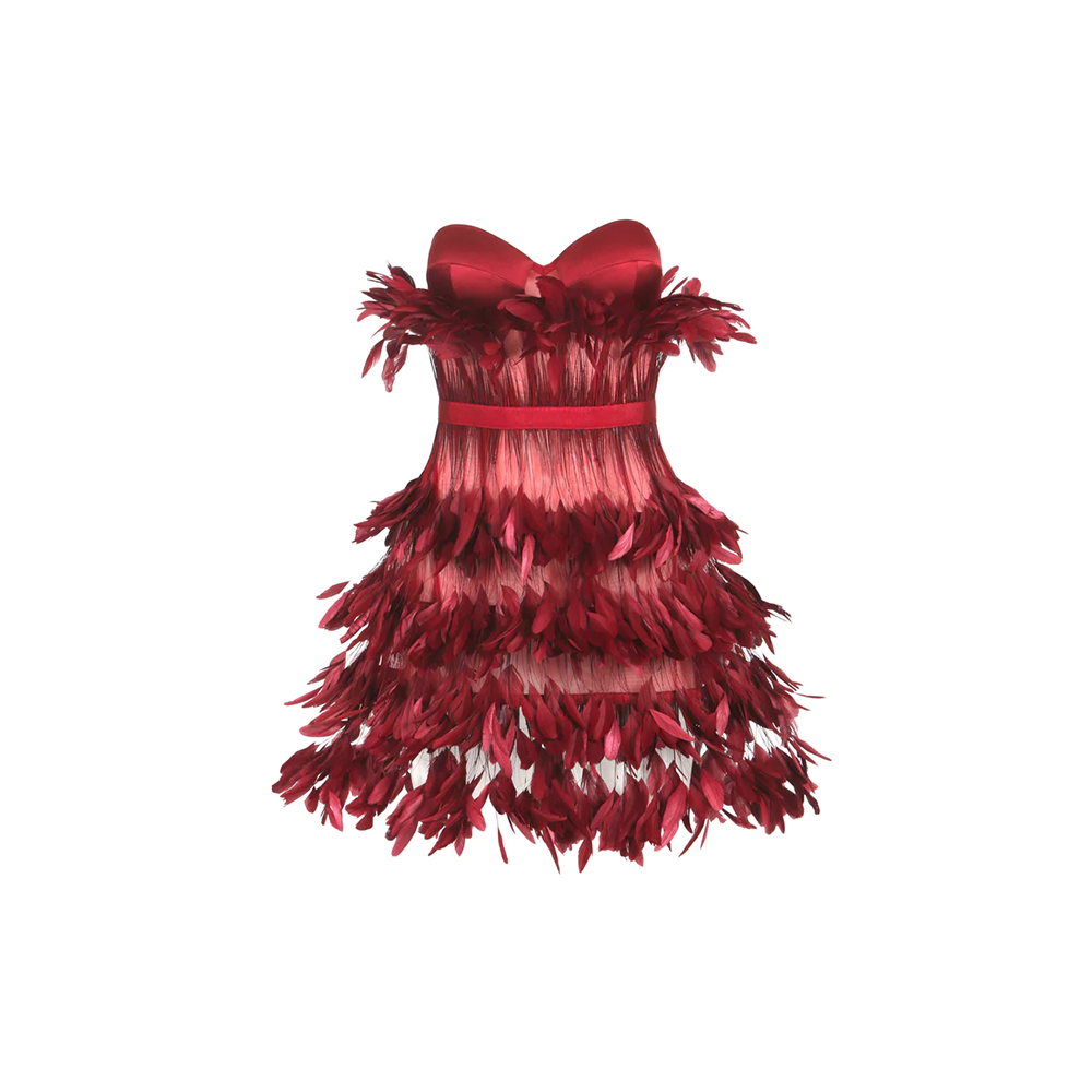 A deep saturated burgundy corseted mini dress in silk satin and ruffled feathers.