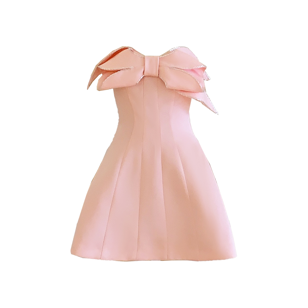 Discover the Clayton A-line Pleated Chest Organdy Mini Dress at top online clothing stores. Elegant, trendy, and perfect for any occasion. Shop Now!