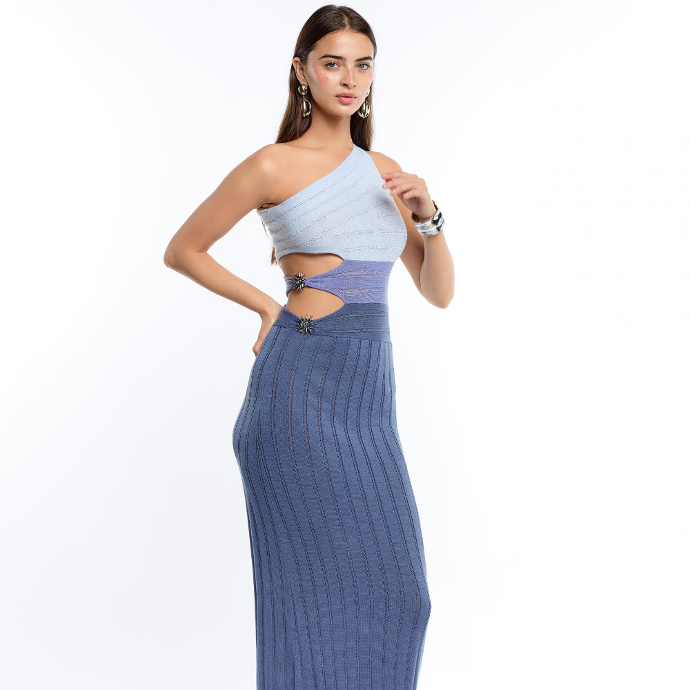 Shop the Lauren Colorblock Blue Maxi Dress at TLM, featuring contrast knit detailing and a flattering fitted silhouette. Explore luxury fashion on The Luxe Maison website.