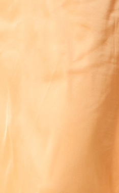 Women’s Midi Dress in Plain Orange with Cami Style and Deep V Neck, Adjustable Straps, Sleeveless - Liquorish