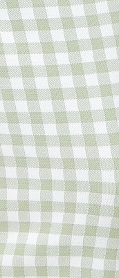 Women's Midi Dress in Green and White Check with Sleeveless Design and Fitted Style