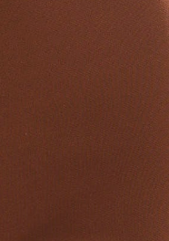 Women's Trousers - Plain Brown Skinny Fit Ankle Length with Zip Closure - Liquorish