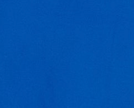 Women’s Shirt in Blue with Point Collar, Button Placket, Loose Fit, and Cuffs – Perfect for Any Occasion.